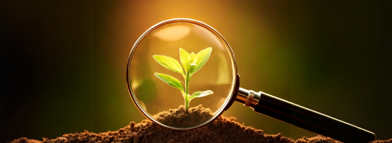 Firefly 20250423114946