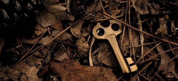 A golden coloured door key on the ground among dried leaves.