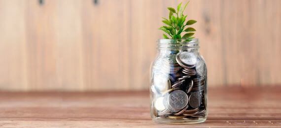 A jar full of coins with a small branch of young leaves sticking out of it