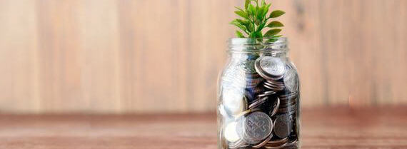 A jar full of coins with a small branch of young leaves sticking out of it (1)