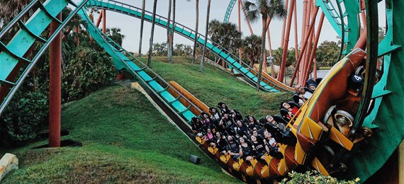 Image of rollercoaster
